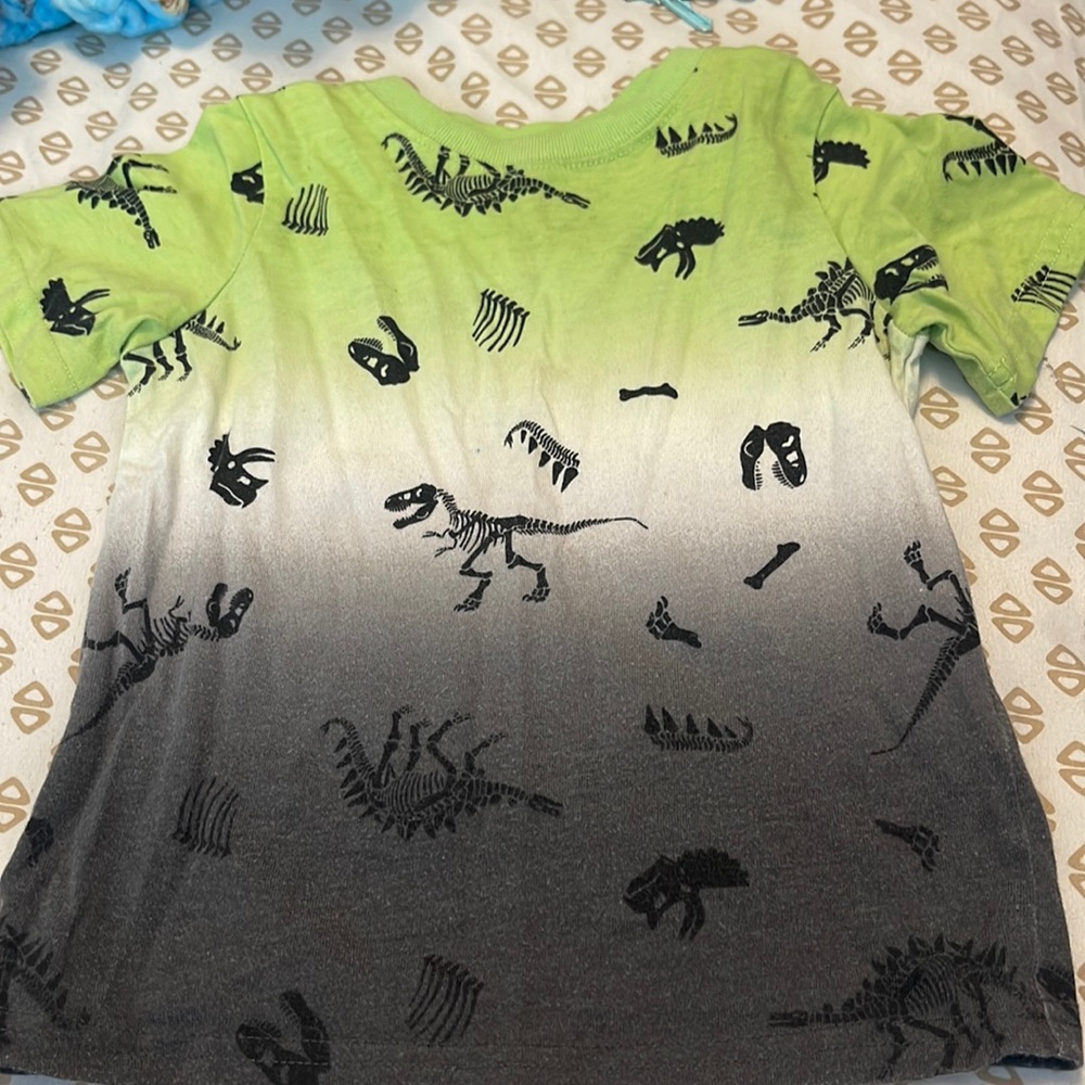 Dinosaur shirt
